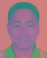 杨东宝