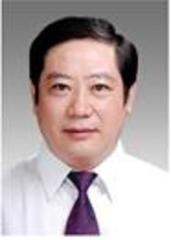 刘振华