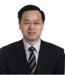 秦环龙